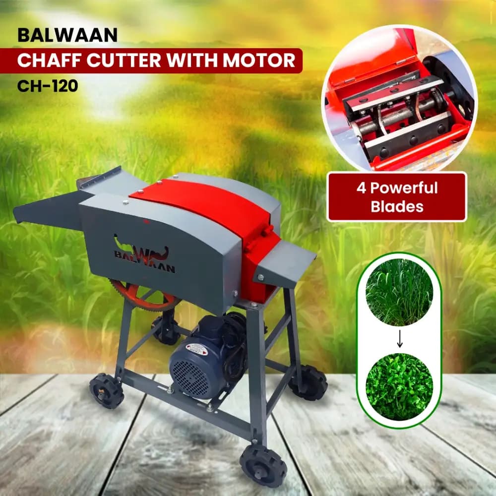 Balwaan Chaff Cutter CH-120, Comes with 4 Pcs of Blade and With Motor, Copper Binding, 1440 RPM, 6 Months Warranty - Image 4