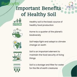 Privi Geoxol Soil Conditioner, Eco-Friendly Solution to Control Water Erosion And Improve Soil Health 5