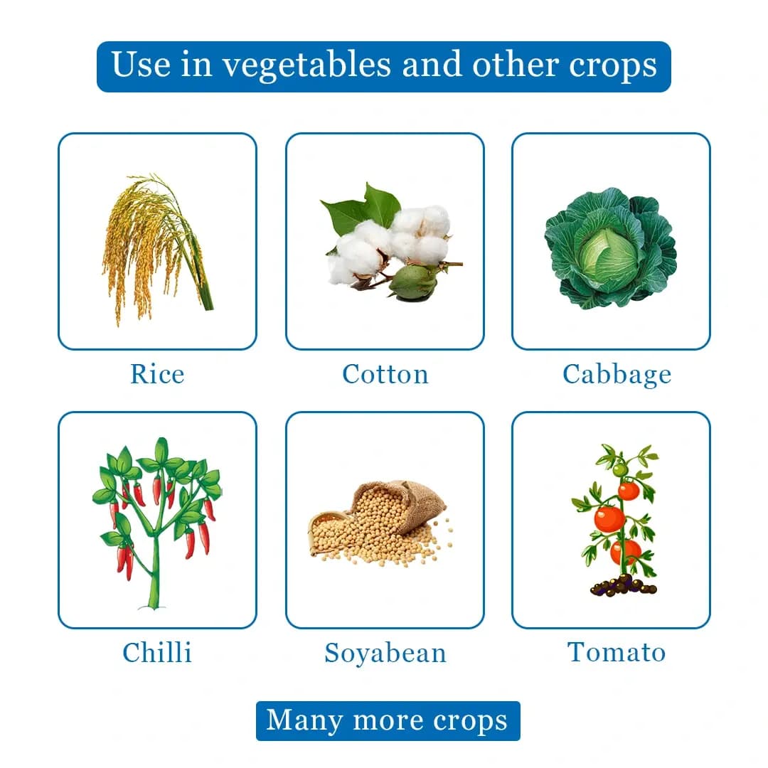 EBS Emaan-19 Insecticide - Image 4