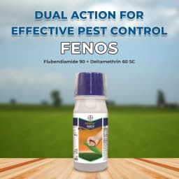 बायर फेनोस क्विक - फ्लूबेंडियामाइड 90 + डेल्टामेथ्रिन 60 एससी. कीटनाशक, बीटल के विरुद्ध सर्वश्रेष्ठ. 2