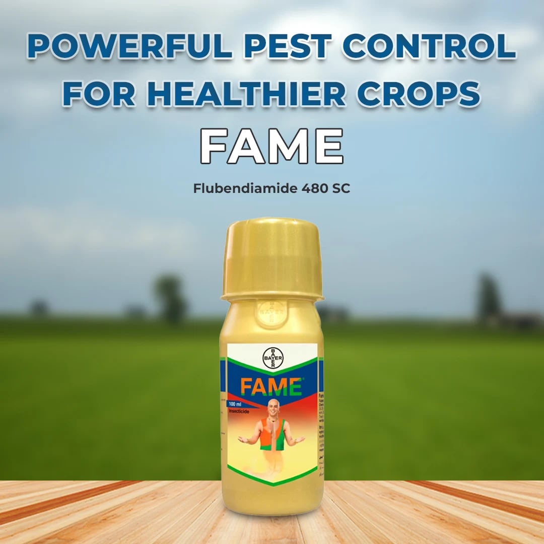 Bayer Fame Insecticide