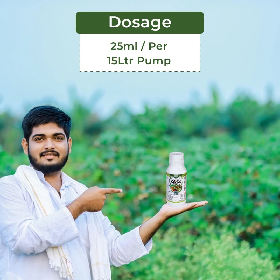 BACF Epee Insecticide - Image 5