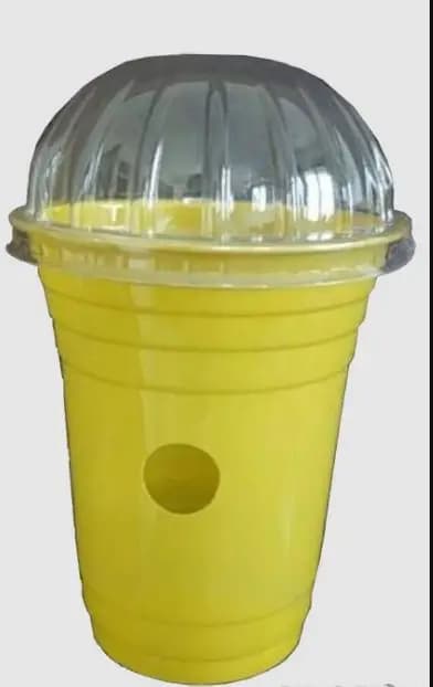 Sonkul Agro Industries Combo Pack of Oriental Fruit Fly (Bactrocera Dorsalis) Lure & Glass Trap - Image 1