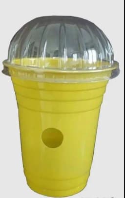 Sonkul Agro Industries Combo Pack of Oriental Fruit Fly (Bactrocera Dorsalis) Lure & Glass Trap 2