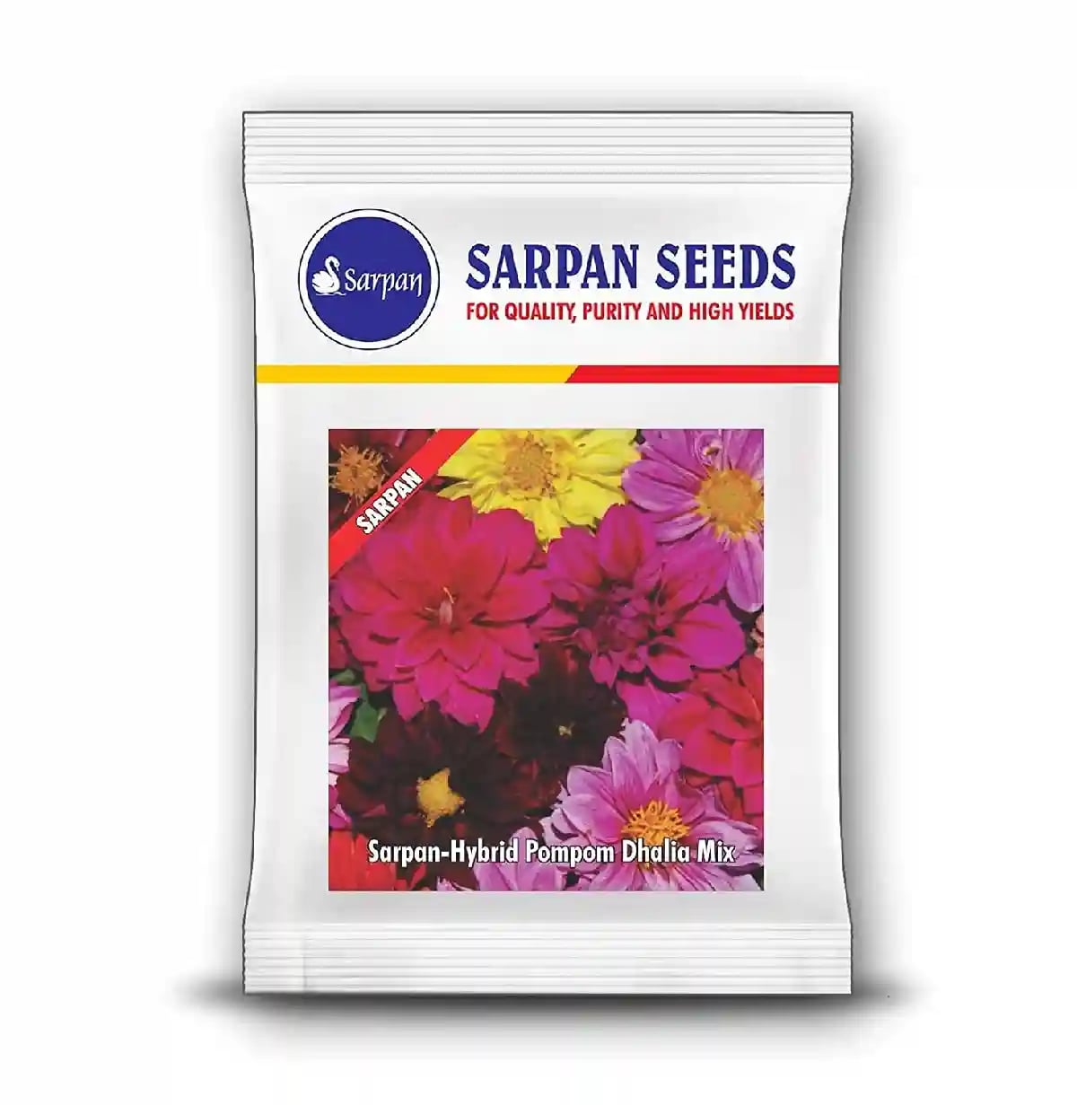 Sarpan Hybrid Pompom Dhalia Mix , Annual Flower Grown In Tropical Climate