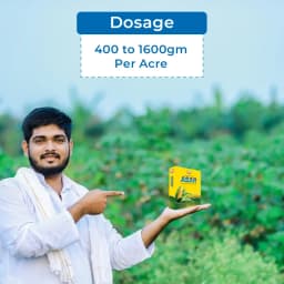 EBS ASAR Atrazine 50% WP Herbicide, Selective Systemic Pre and Post-Emergence Herbicide, Use for Maize and Sugarcane 5