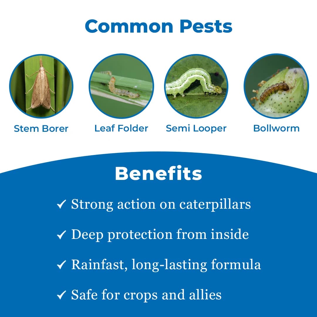 Swal Kinsta Chlorantraniliprole 18.5% SC Insecticide, Effective Pest Control on Various Crops - Image 3