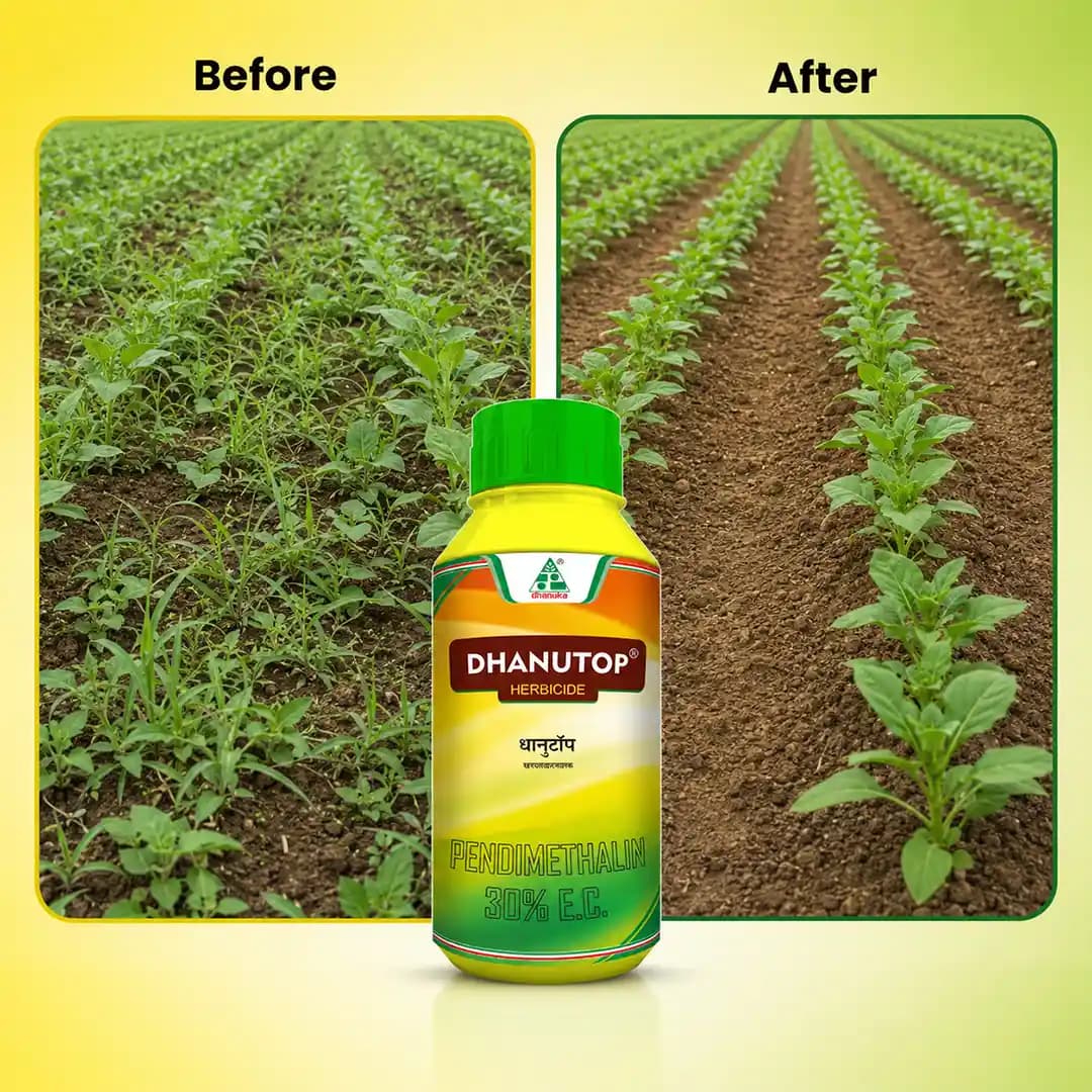 Dhanuka Dhanutop Herbicide - Image 7