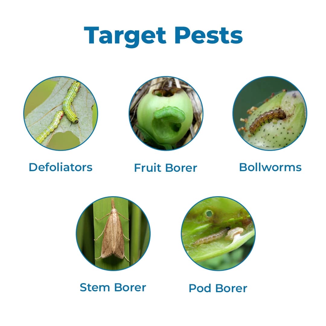 Katyayani Fluben Flubendiamide 39.35% SC Insecticide, Target a Range of Lepidopteran Pests - Image 3