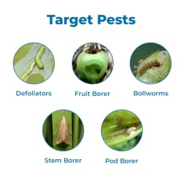 Katyayani Fluben Flubendiamide 39.35% SC Insecticide, Target a Range of Lepidopteran Pests 3