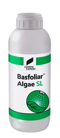 Compo Expert Basfoliar Algae Sl Bio-Stimulates, Based On Durvillea Antarctica Seaweed Extract, Plus Essential Minerals 1