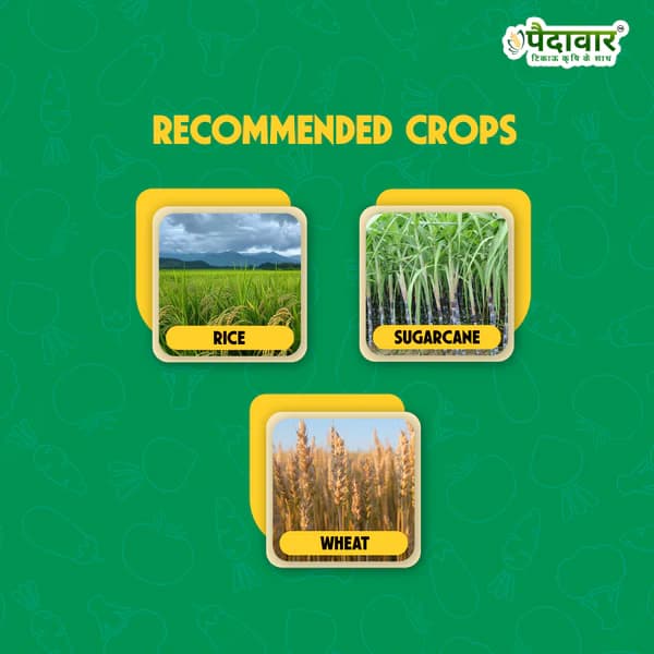 Paidavaar Hunter Fipronil 0.3% GR Granular Insecticide for Soil Pest Control - Image 3