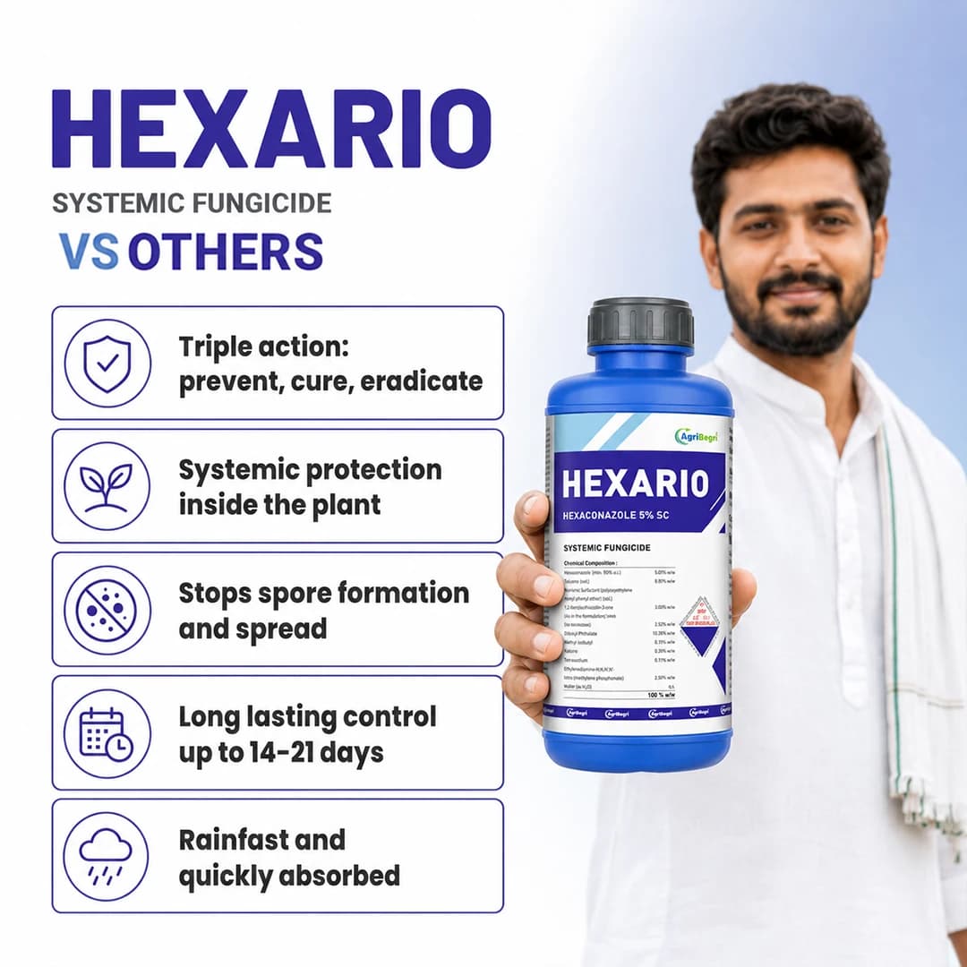 Hexario Fungicide - Hexaconazole 5% SC - Image 7