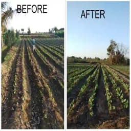 ALBATA Royal SUPER GROW NOCA, SATTVIK and KRUSHI Certified, Agricultural and Domestic use, bio stimulant. 2