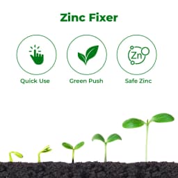 Oxizinc-395 , Zinc Oxide 39.5% Micronutrient , Zinc Fertilizer, Used For Paddy, Sugarcane, Maize, Cotton, Vegetables, Ginger, etc. 3