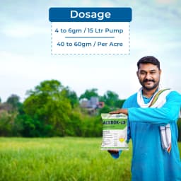 Acedok-20 Insecticide - Acetamiprid 20% SP 5