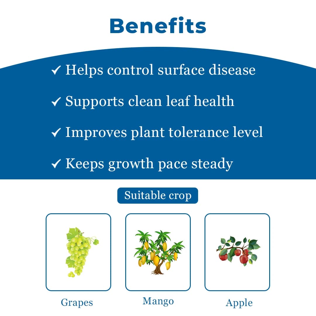 Agriventure Sulph Gold (Sulphur 80% WDG) Contact Fungicide, Used for the Control of Powdery Mildew For Grapes and Mango - Image 4