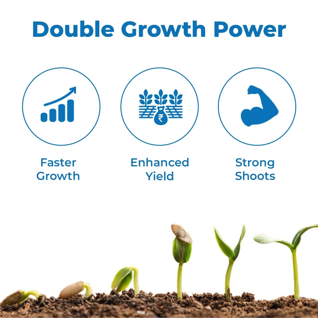Godrej Double Homobrassinolide 0.04% Plant Yield Enhancer, Develops Resistance In Plants From Stress Such As Drought, Frost Injury. - Image 3