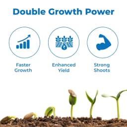 Godrej Double Homobrassinolide 0.04% Plant Yield Enhancer, Develops Resistance In Plants From Stress Such As Drought, Frost Injury. 3