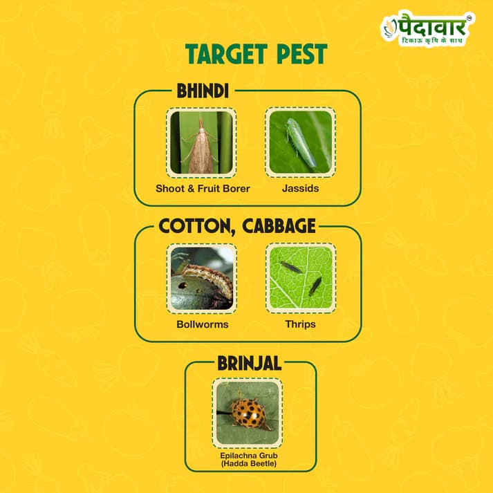 Paidavaar Cyper 25 Cypermethrin 25% EC Insecticide Powerful Broad Spectrum Crop Protection - Image 5