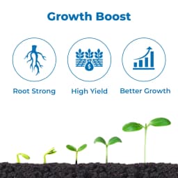 Dhanuka Dhanvarsha 6 In 1 Contains Natural Pepticide, Amino Acids and Nutrient, Organic Bio-Stimulant, Plant Growth Promoter, And Root Boost 3