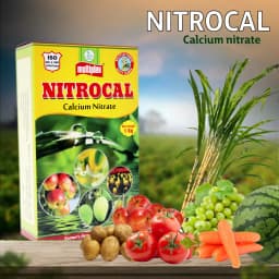 Multiplex Nitrocal Calcium Nitrate Fertilizer, 100% Water Soluble, Better Fruit Quality And Crop Health 2
