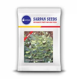 Sarpan Dolichos 3 , Hybrid Dolichos Seeds, Excellent Germination, Very High Yield 2