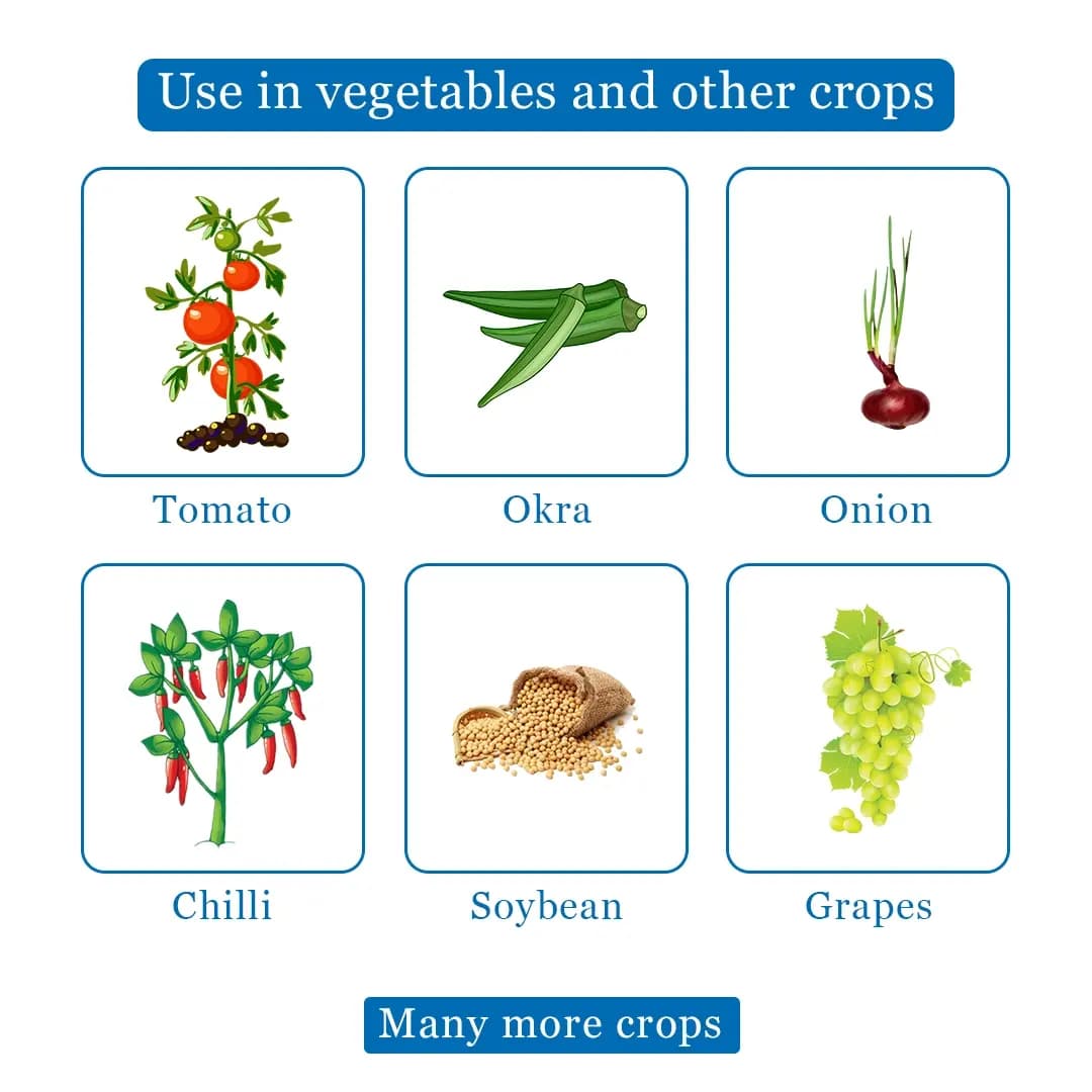 ईबीएस टेबसुल-75 टेबुकोनाज़ोल 10% + सल्फर 65% डब्लूजी फफूंदनाशक, गेहूं, चावल, मूंगफली, चाय, सोयाबीन, केला और कॉफी के लिए उपयोग किया जाता है। - Image 4
