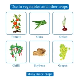 ईबीएस टेबसुल-75 टेबुकोनाज़ोल 10% + सल्फर 65% डब्लूजी फफूंदनाशक, गेहूं, चावल, मूंगफली, चाय, सोयाबीन, केला और कॉफी के लिए उपयोग किया जाता है। 4