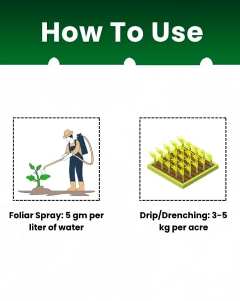 Katyayani NPK 00:52:34 (Mono Potassium Phosphate) Water Soluble Fertilizer For Promoting Flowering and Root Development In All Types of Crops - Image 5