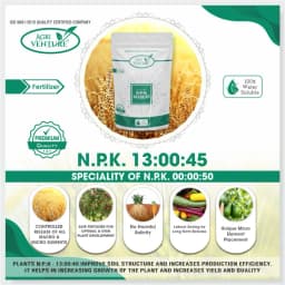 Agriventure NPK 13:00:45 Imported 100% Water Soluble Drip Fertilizer, Suitable for All Crops 3