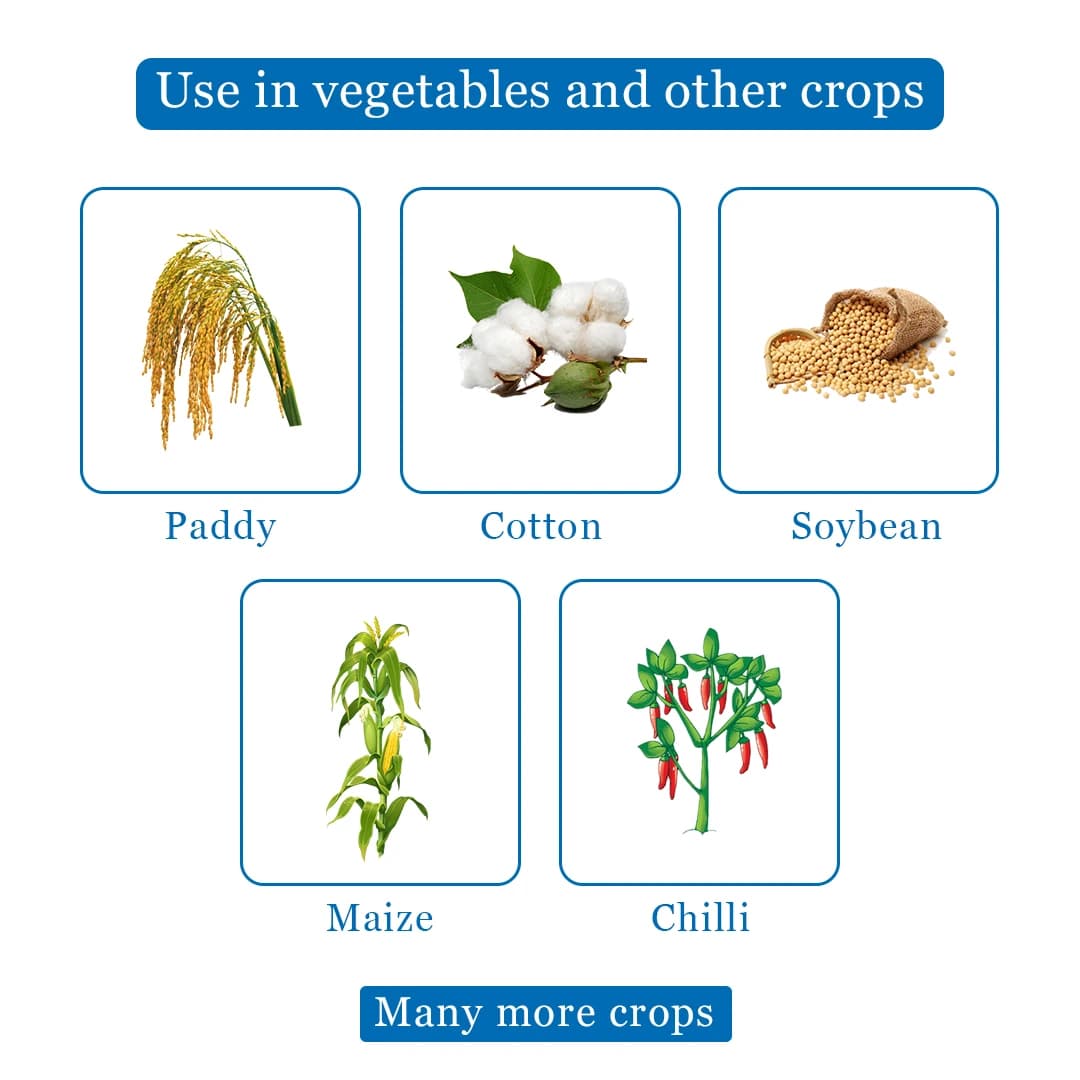 EBS Thioshield Insecticide - Image 5