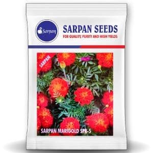 Sarpan Hybrid Marigold SFR-5 , French Marigold Seeds, Copper Red Color, Flower Seeds - Image 1