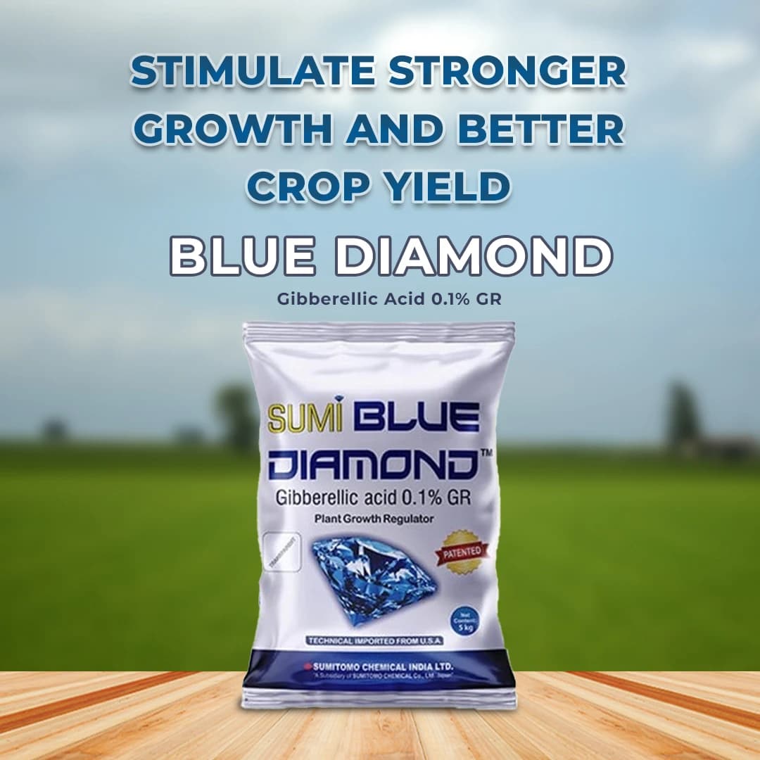 Sumitomo Sumi Blue Diamond Gibberellic Acid 0.1% GR Plant Growth Regulator, Complete Development Helps the Paddy Plant - Image 2