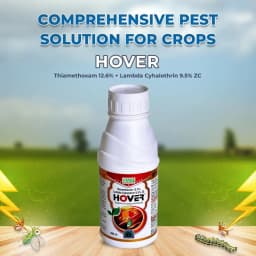 BACF HOVER - Thiamethoxam 12.6% + Lambda Cyhalothrin 9.5% ZC, Systemic Action, Best For Thrips and Aphids. 2