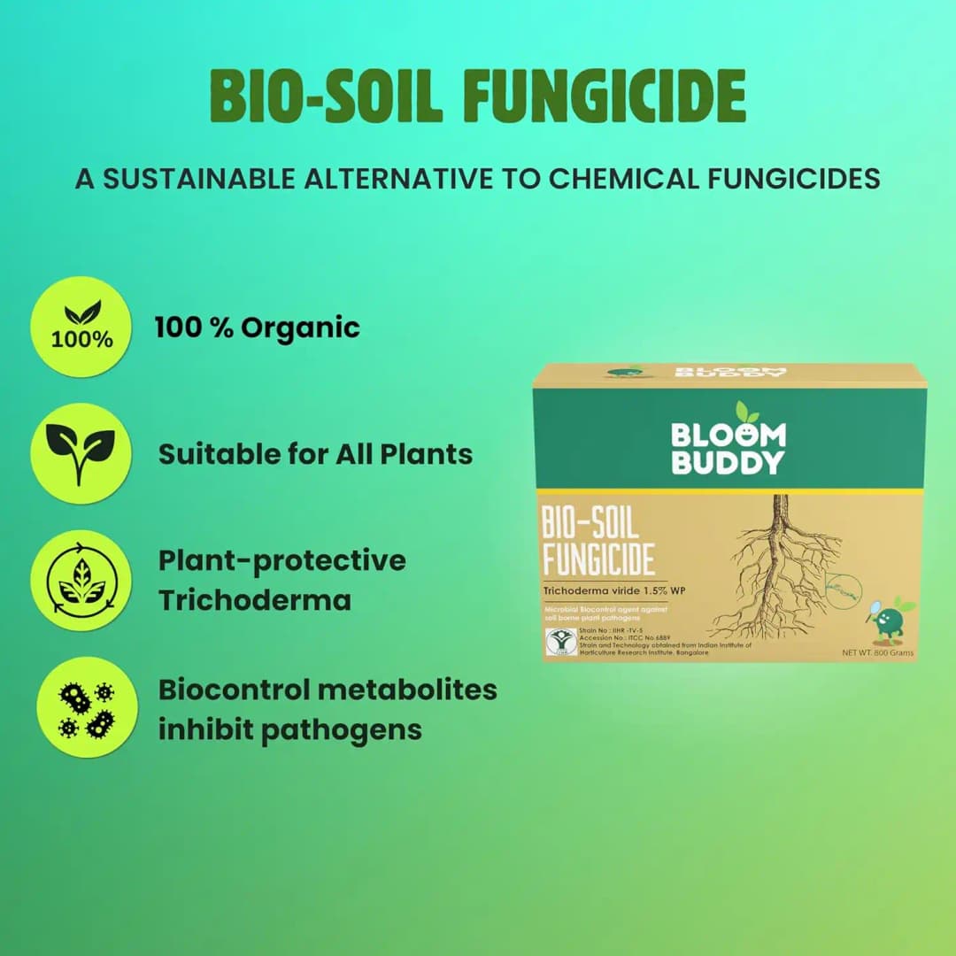 BloomBuddy Trichoderma Viride 1.5% WP Biofungicide, Disease Prevention & Plant Growth Promotion - Image 2