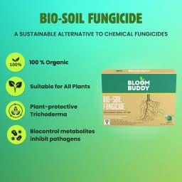 BloomBuddy Trichoderma Viride 1.5% WP Biofungicide, Disease Prevention & Plant Growth Promotion 2