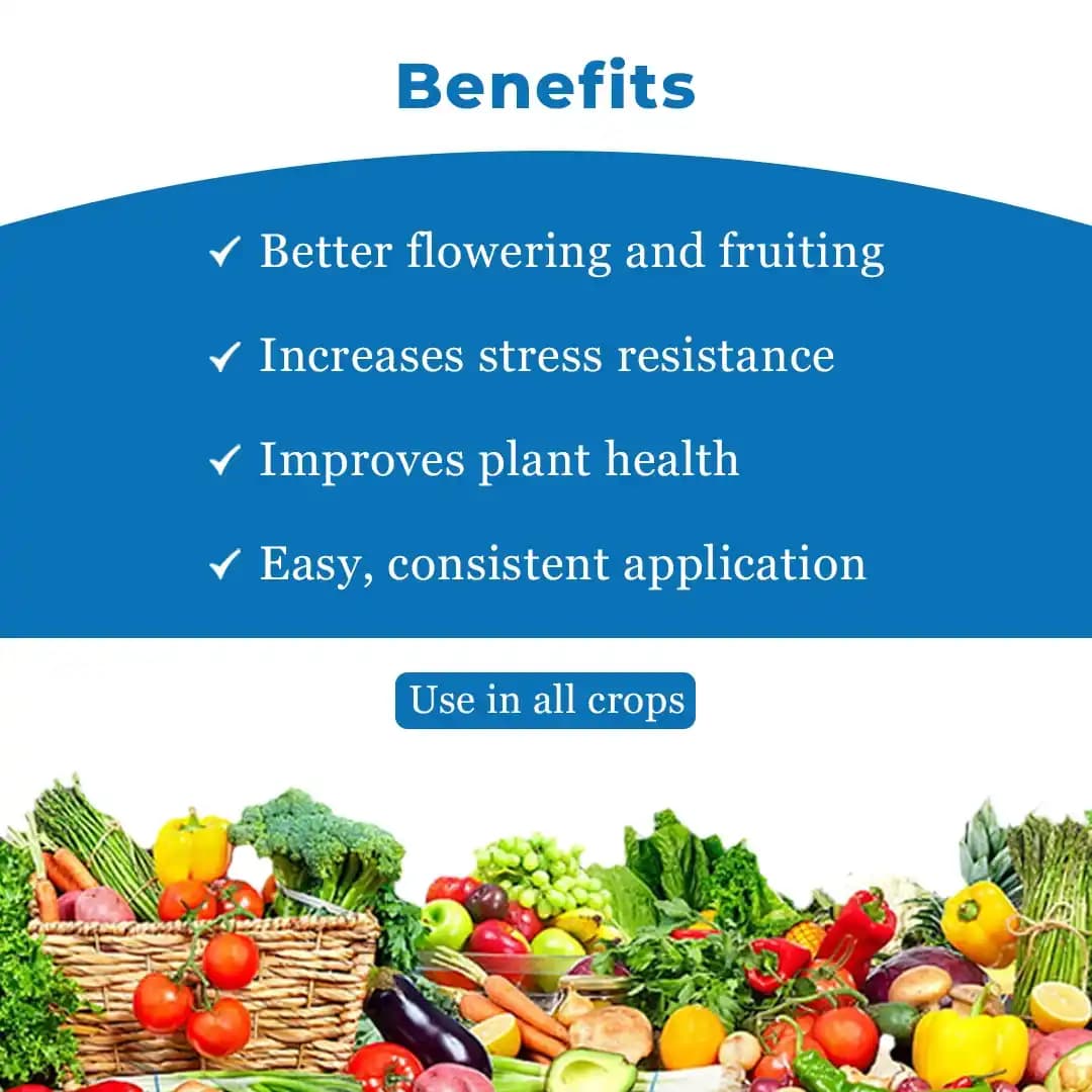 Godrej Double Homobrassinolide 0.04% Plant Yield Enhancer, Develops Resistance In Plants From Stress Such As Drought, Frost Injury. - Image 4