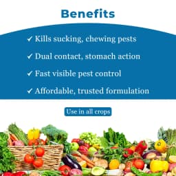 IIL Monocil Monocrotophos 36% SL Broad Spectrum Insecticide, Use for Cotton, Citrus and Tea 4