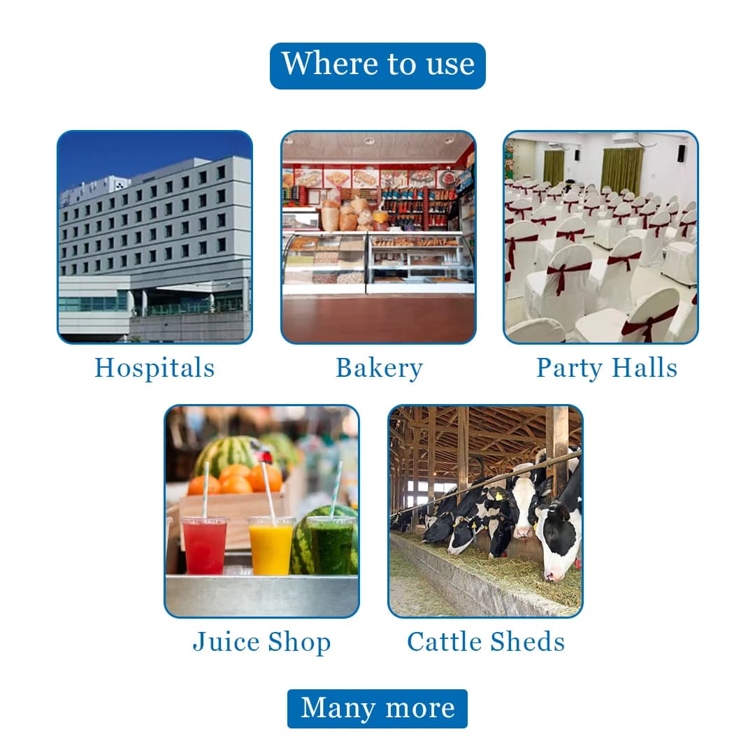 Barrix House Fly Domo Trap With Combo Of Kairo And Phreo Lure, Best For Housefly, Highly Pure Para-Pheromones, Toxic Free Lure. - Image 4