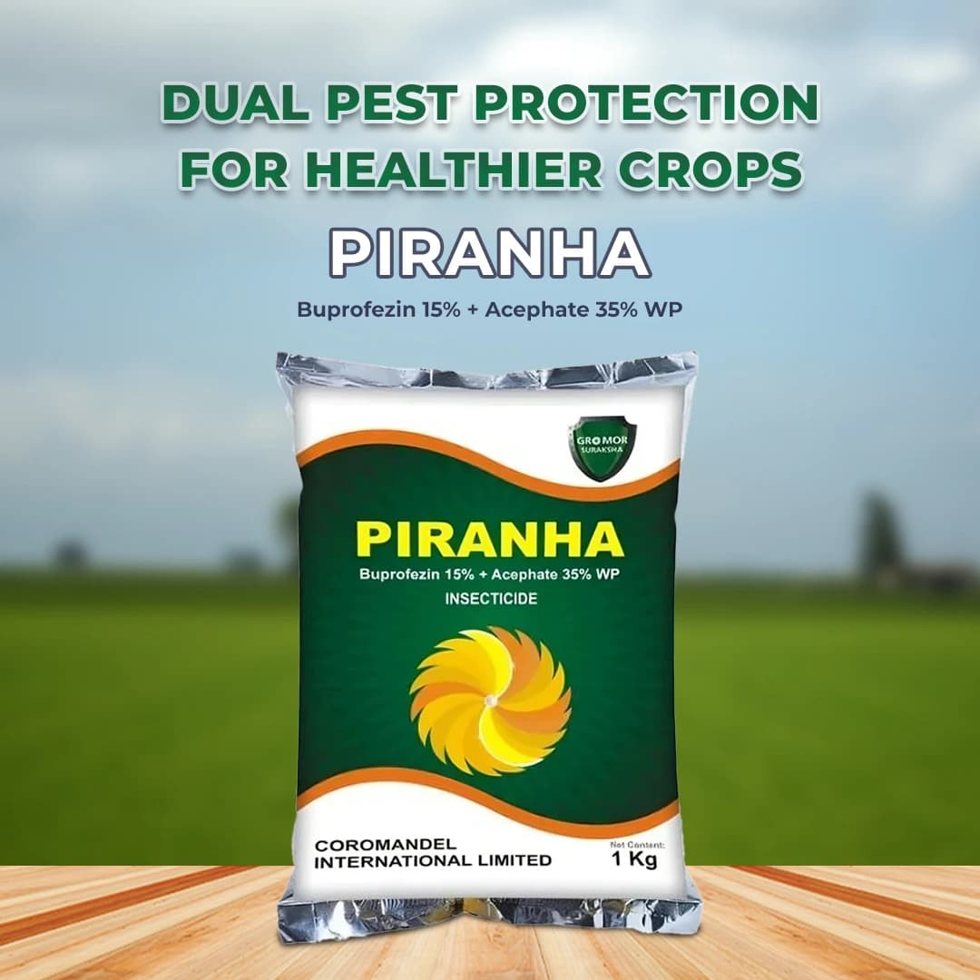 Coromandel Piranha Buprofezin 15% + Acephate 35% WP, Long-Lasting and Effective Tool for BPH and WBPH in Rice. - Image 2