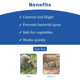 Pest-N-Trol LS-928 , Cover Upto 100-200 SQ.FT, Ultra Duet Repeller, No Obstruction, For Rats and Pest (Small Insects) 4