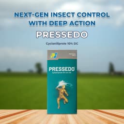 PI Pressedo Cyclaniliprole 10% DC Insecticide, Target to Control Lepidopteran Pests 2