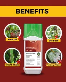 Katyayani Dr. Zole Azoxystrobin 11 % + Tebuconazole 18.3 % SC Systemic Fungicide Powerful Broad Spectrum 3