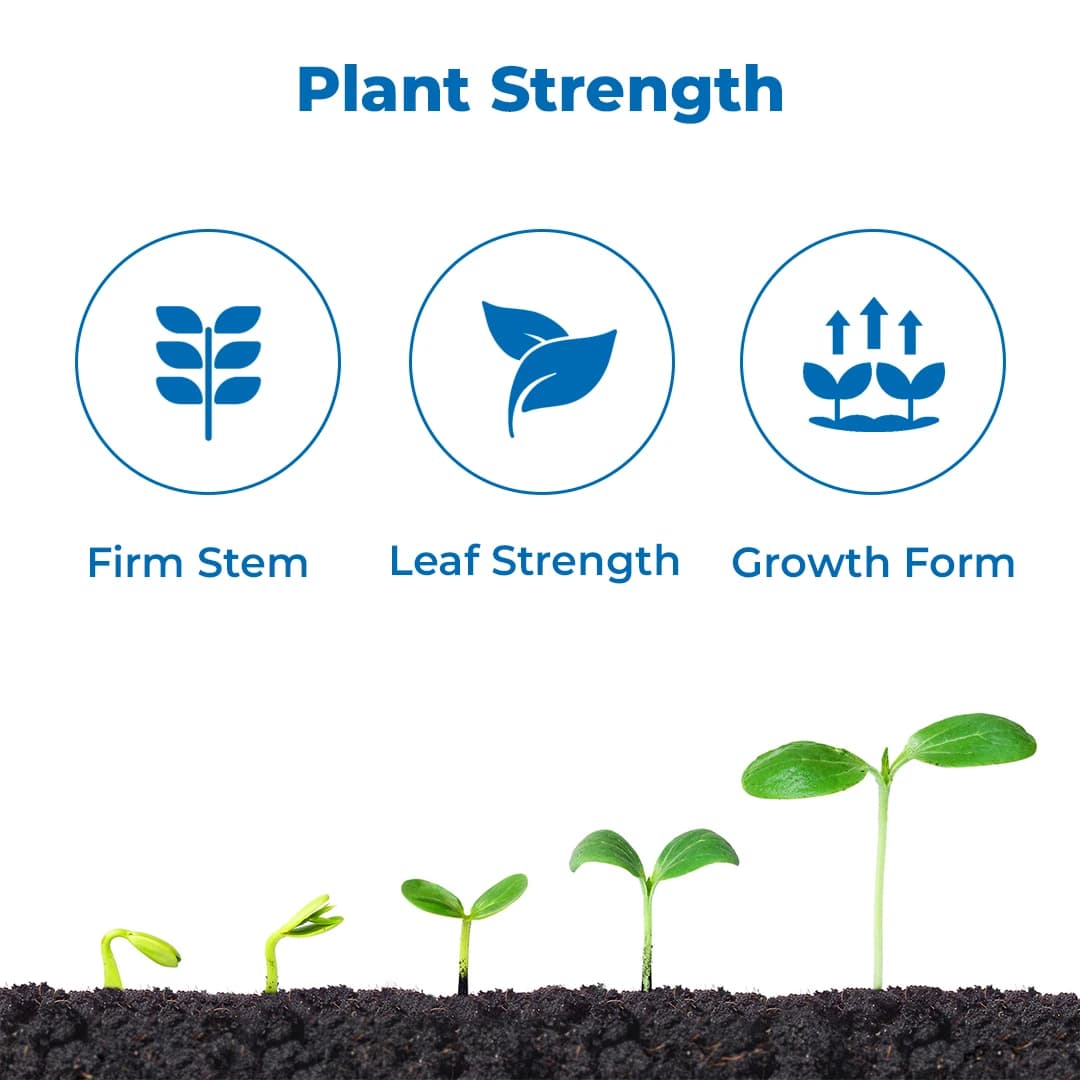 Anand Sil (Colloidal Silica) Plant Growth Promoter, Accelerates the Process of Photosynthesis, Enhances Nutrient Yield And Uptake - Image 3
