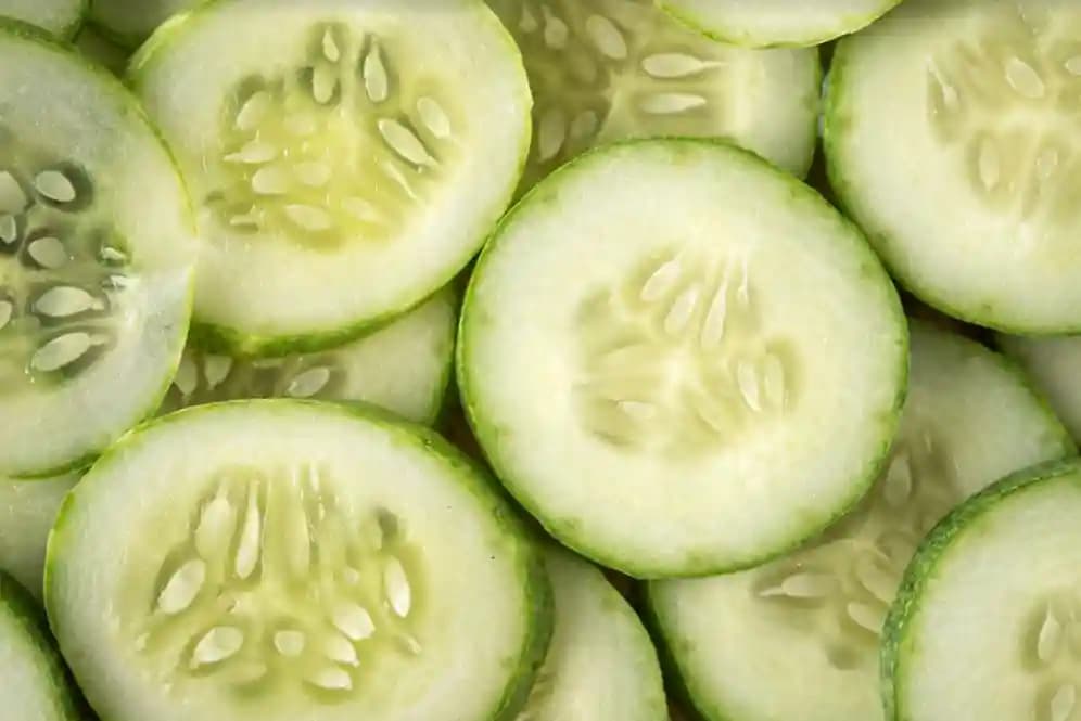 Jivit JS 8000 F1 Hybrid Cucumber Seeds, Strong vines with Dense Foliage, Light Green Fruits - Image 3