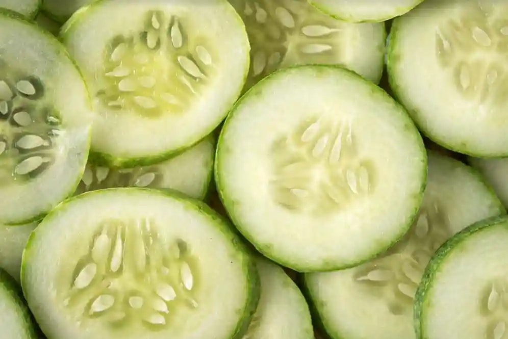 Jivit JS 8000 F1 Hybrid Cucumber Seeds, Strong vines with Dense Foliage, Light Green Fruits