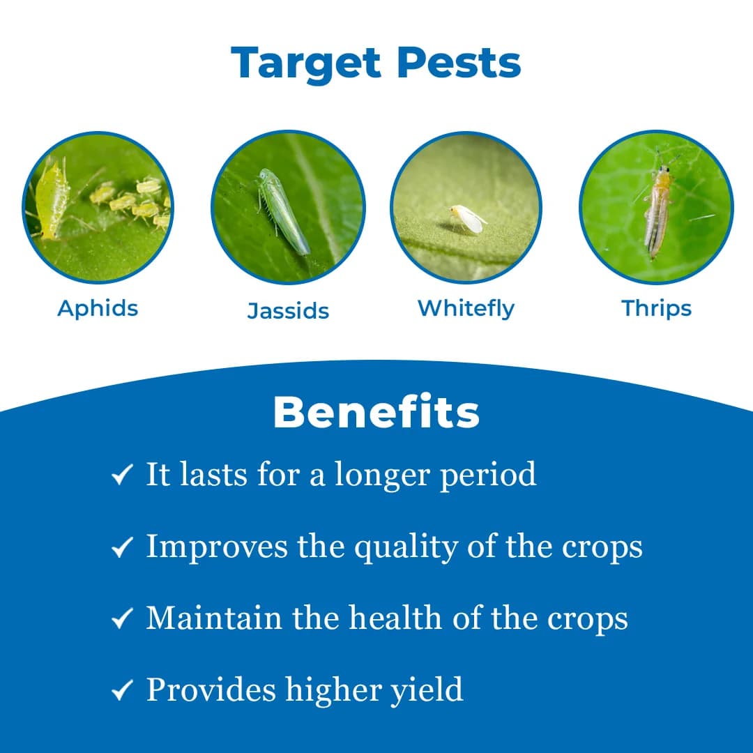 Midatek - Imidacloprid 30.5% SC, Systemic Action Insecticide Effective Against Chewing and Sucking Insects - Image 3