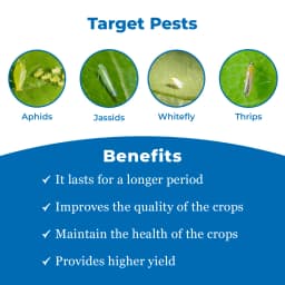 Midatek - Imidacloprid 30.5% SC, Systemic Action Insecticide Effective Against Chewing and Sucking Insects 3