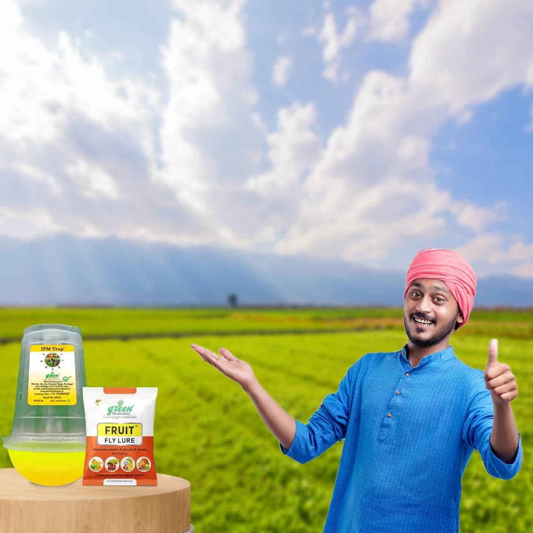 फ्रूट फ्लाई फेरोमोने ट्रैप सेट - 1 एकड़ के लिए और बैक्ट्रोसेरा कोरेक्टा, ज़ोनटा, डोर्सालिसा के लिए लुअर। - Image 5